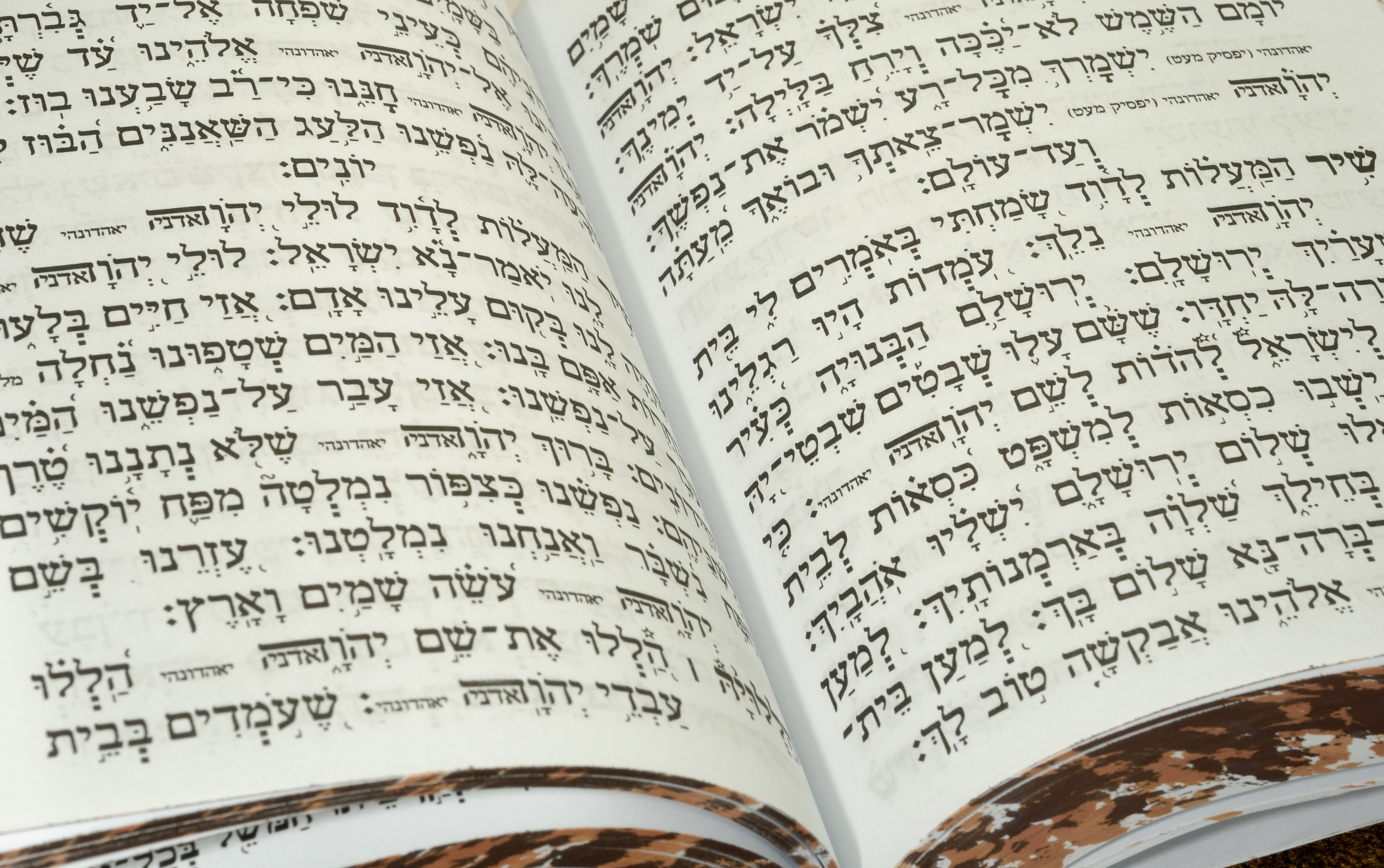 סוגיות נבחרות בסיפורי התנ"ך