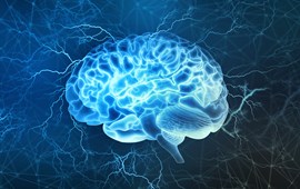מוח והתנהגות - מה חדש?